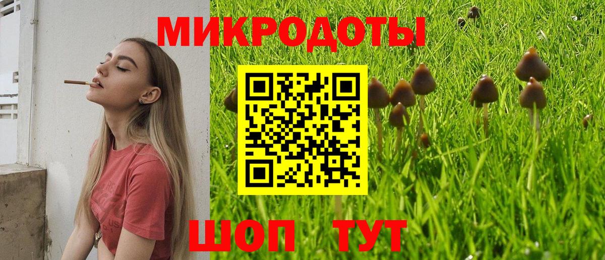 Псилоцибиновые грибы Psilocybine cubensis Усть-Кут