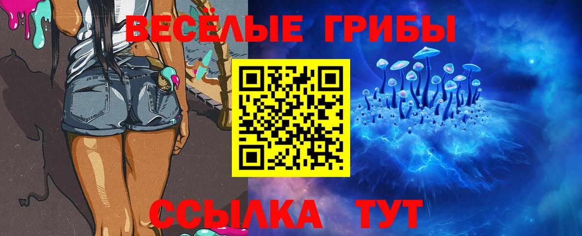 Псилоцибиновые грибы Psilocybine cubensis  Вход с VPN  Псилоцибиновые грибы GOLDEN TEACHER  Усть-Кут 