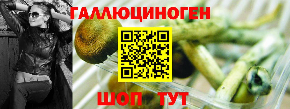 Галлюциногенные грибы Cubensis Усть-Кут